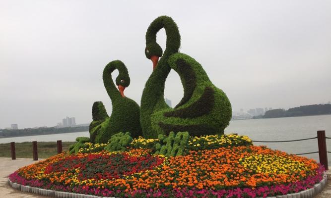 绿色辣椒摆花有何寓意？怎样用绿色辣椒装饰花坛？