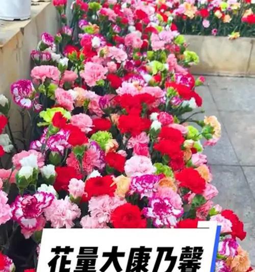 什么花象征甜蜜可爱和纯洁？甜蜜可爱与纯洁的花有哪些？