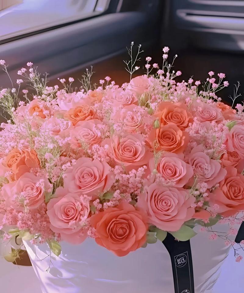 粉色姜花的花语是什么？它的寓意有何特别之处？