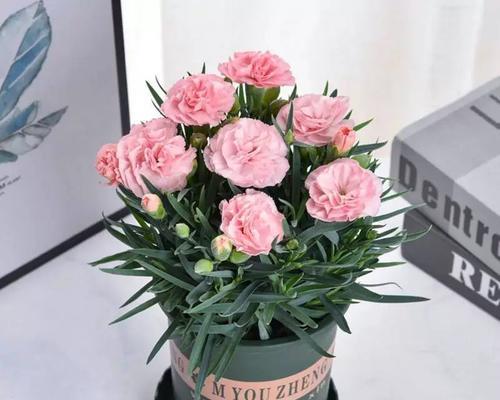 教师节送大花的寓意是什么？如何选择合适的花？