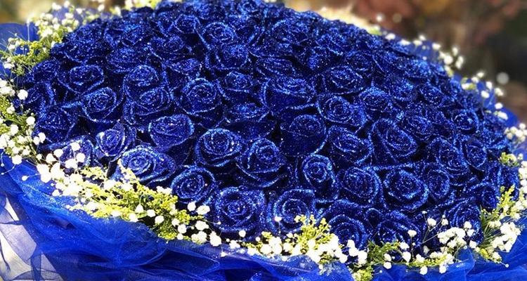 蓝色花有哪些寓意和禁忌？蓝色花的象征意义是什么？