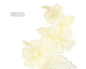 五朵金色芙蓉花的寓意是什么？它象征着什么？