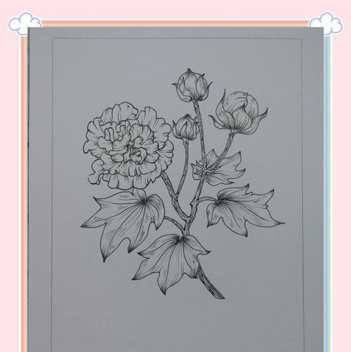 五朵金色芙蓉花的寓意是什么？它象征着什么？