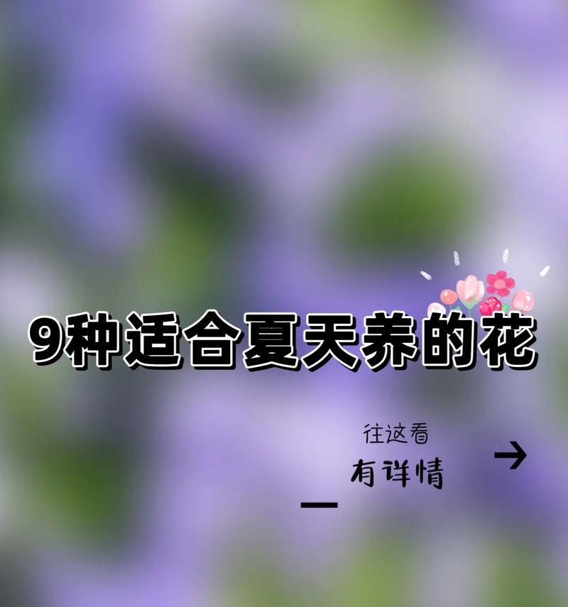夏天的花能象征爱情吗？夏天的花语有哪些？