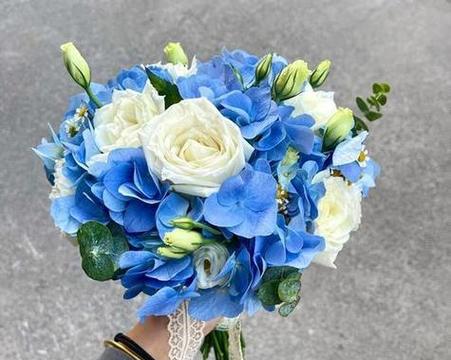 蓝色红色手捧花的寓意是什么？