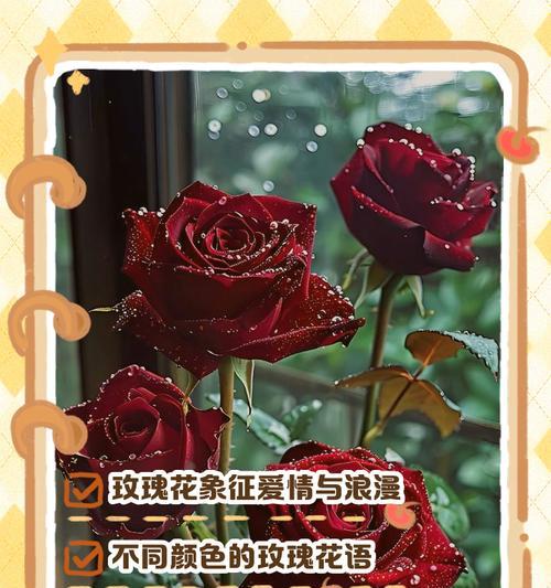 情人节送中华花有何寓意？中华花的花语是什么？