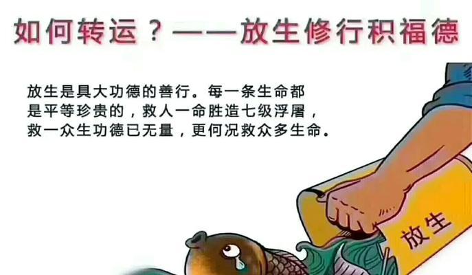 泰国祈福花有何特殊含义？它的寓意是什么？