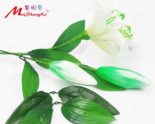 绿色百合花象征着什么？它的含义有哪些？