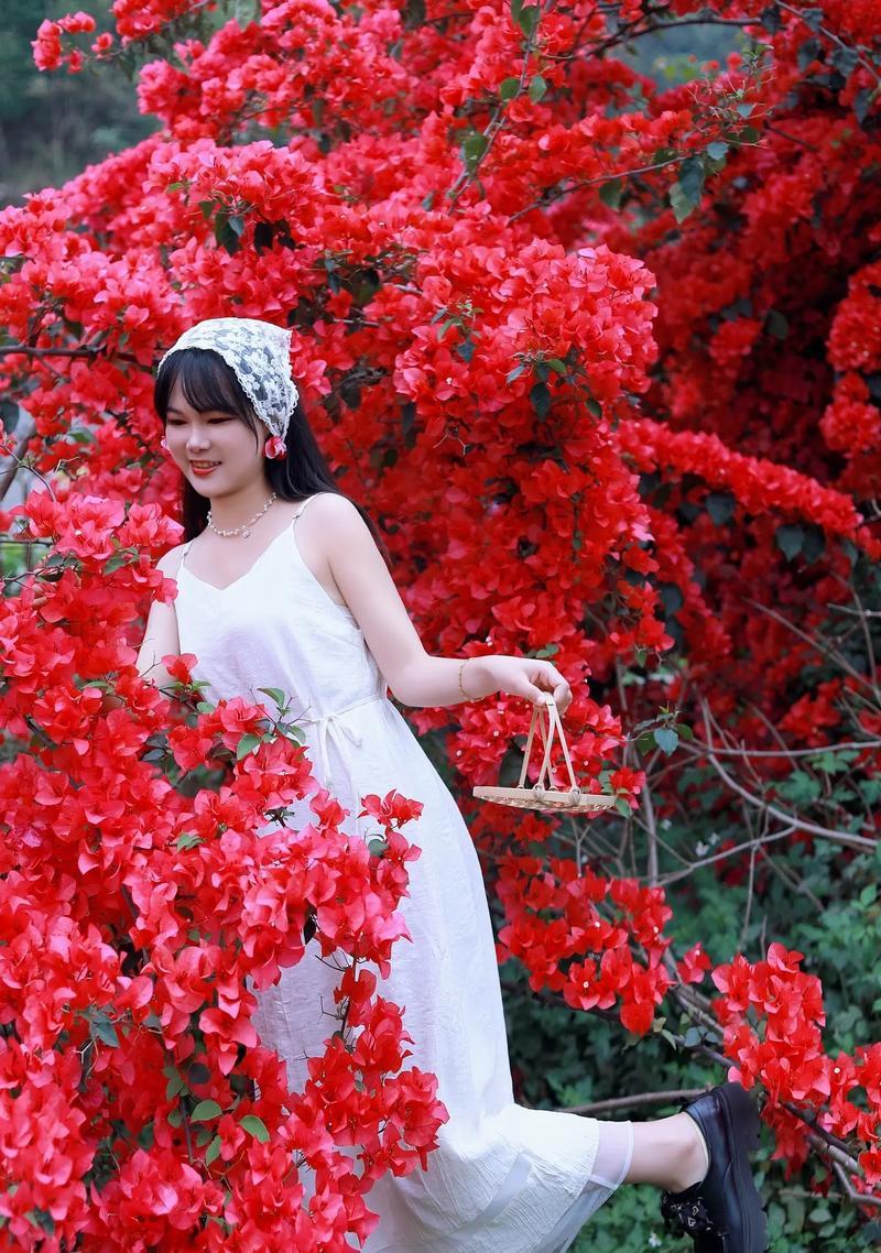 春节赏花有什么讲究？春节赏花语有哪些？