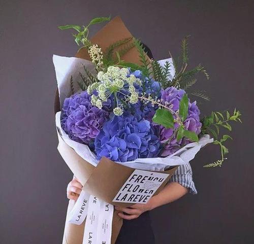 祝福婆婆应该送什么花？花语中有哪些适合的选项？