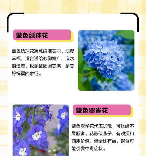 七色花各自代表了什么寓意？
