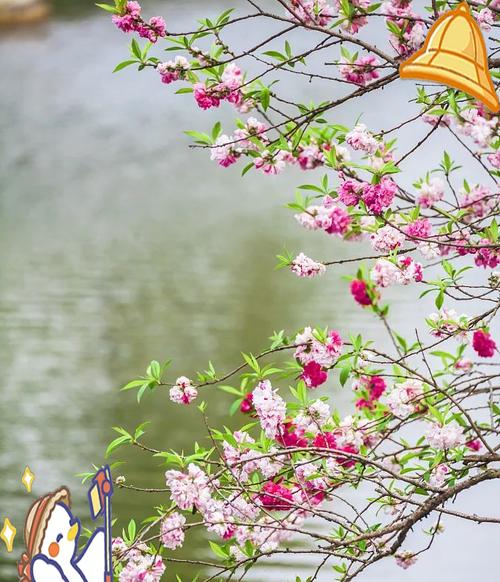 花朝节有哪些文化意义和象征？它的传统是什么？
