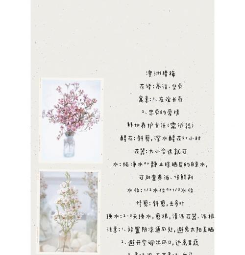 哪种花是爱情的象征？它的花语是什么？