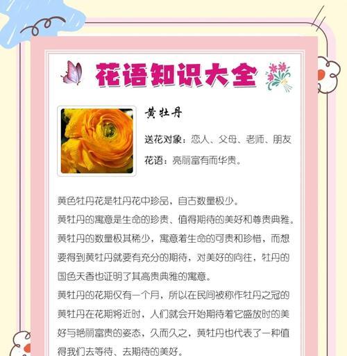 各色花的花语和寓意是什么？一个品种花的不同颜色有何含义？