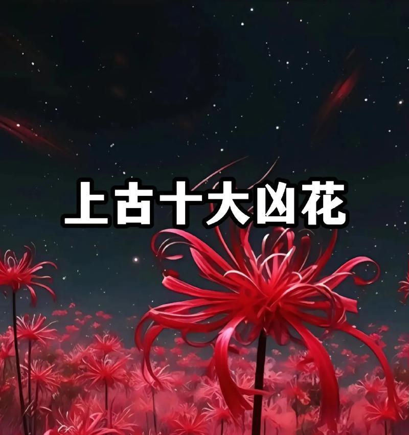 各色花的花语和寓意是什么？一个品种花的不同颜色有何含义？