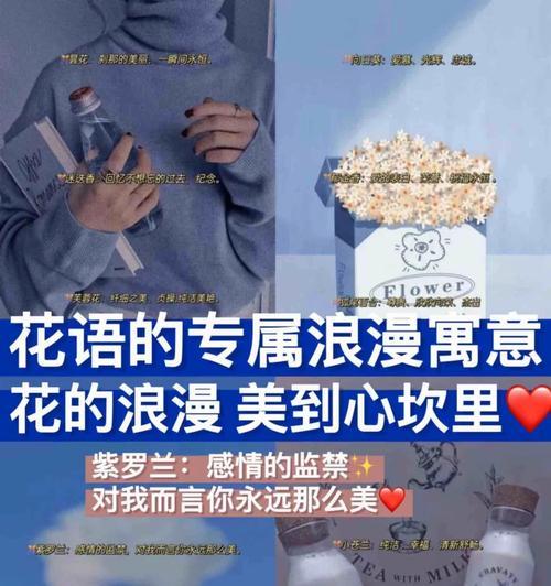 游戏中CP的浪漫花语有哪些？
