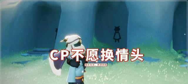 游戏中CP的浪漫花语有哪些？