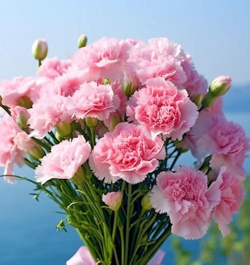 平安富贵的花有哪些？这些花的寓意是什么？