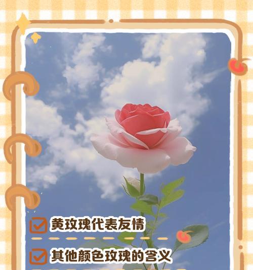有没有一种花同时象征友情和爱情？
