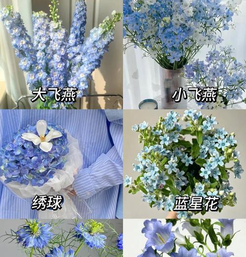 哪些花材寓意爱情？爱情花材的种类有哪些？