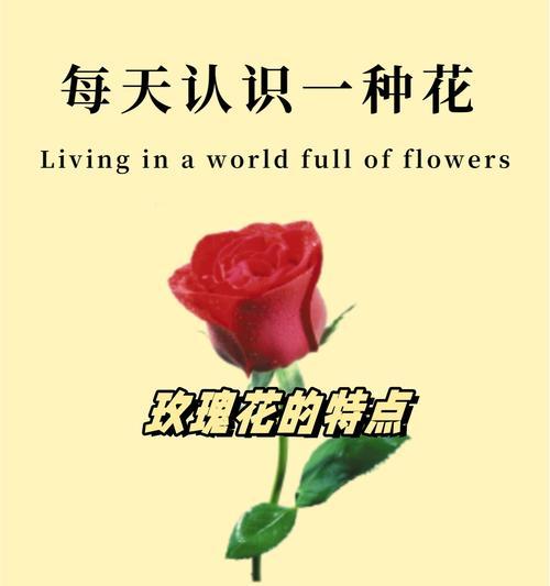 如何用花来表达健康的寓意？有哪些句子可以使用？