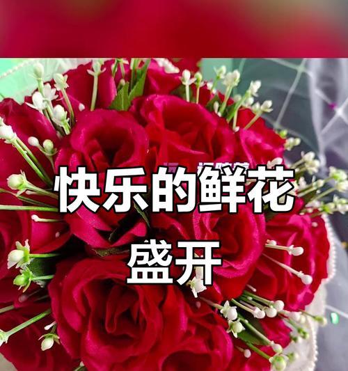 哪种花寓意着开心快乐？