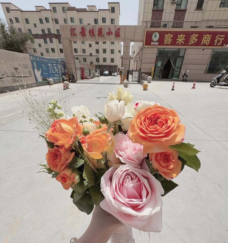 蔬菜手捧花的寓意与象征是什么？蔬菜手捧花代表了什么？