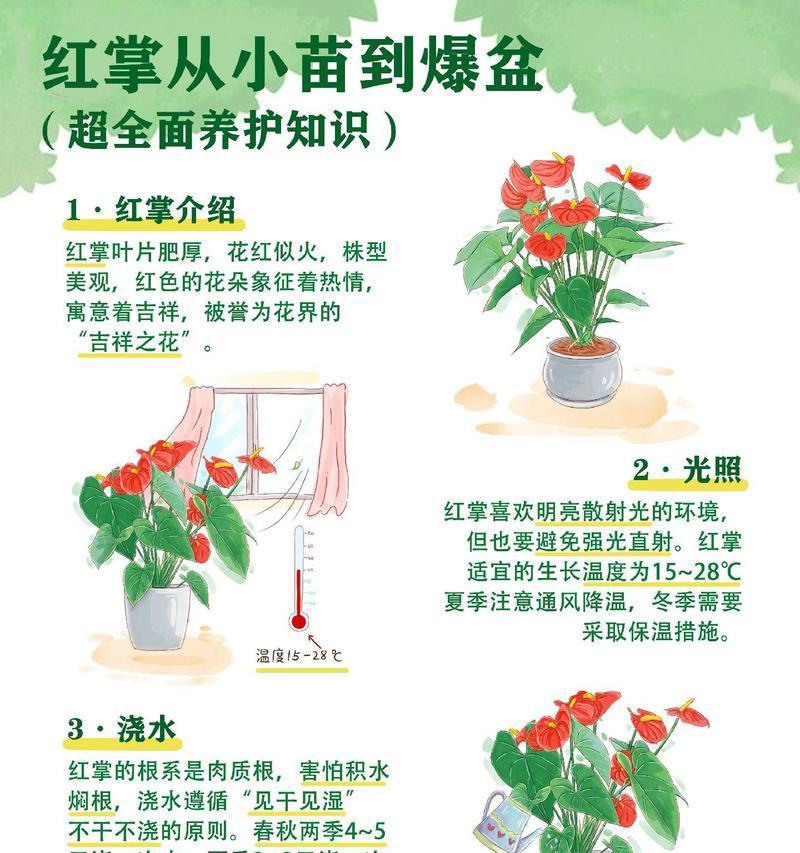 寓意吉祥的花如何制作？捏花的技巧和步骤是什么？