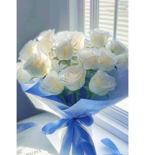 白玫瑰的浪漫花语是什么？