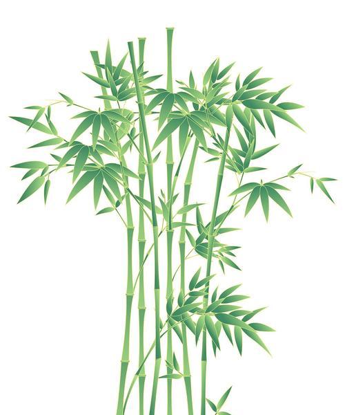 节节高花象征什么？节节高花的寓意有哪些？
