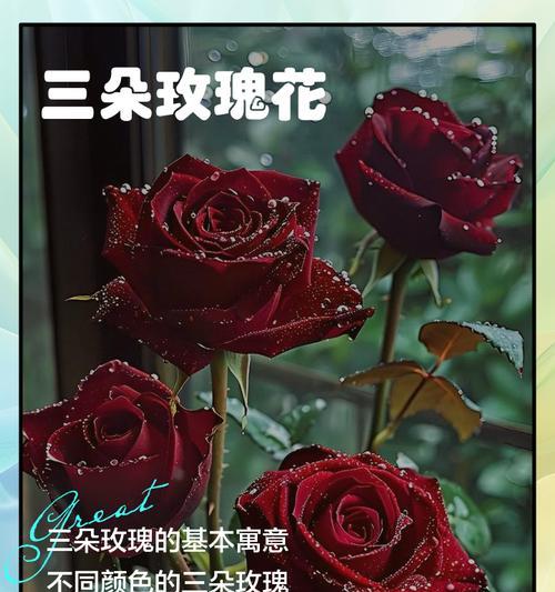 两束花代表什么浪漫寓意？两束花的含义是什么？