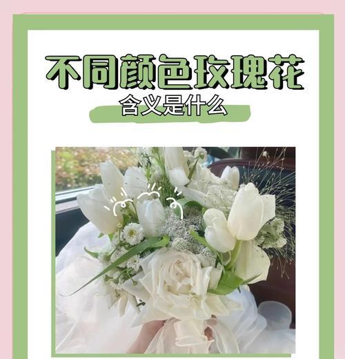 什么颜色的花的含义是什么？颜色与花语有何关联？