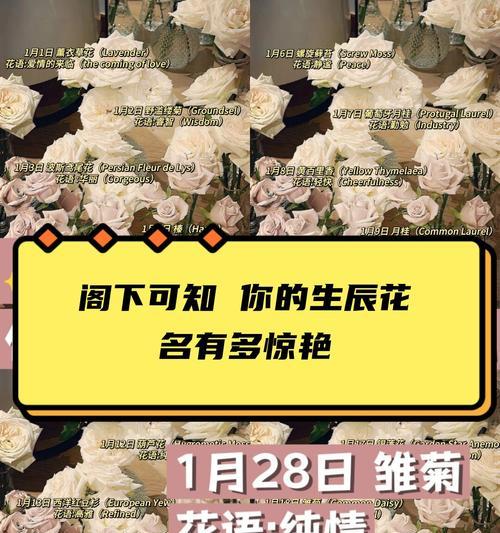 什么颜色的花的含义是什么？颜色与花语有何关联？
