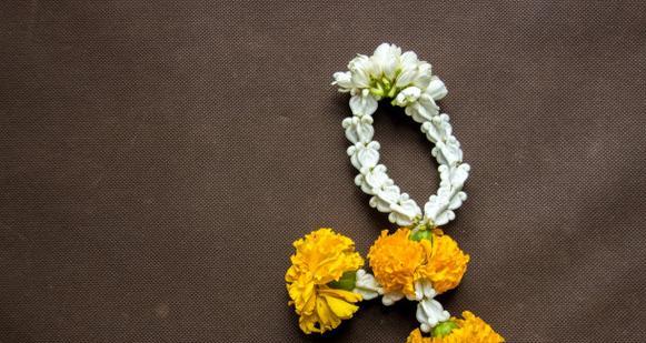 哪种花象征希望和祈福？希望祈福花的含义是什么？