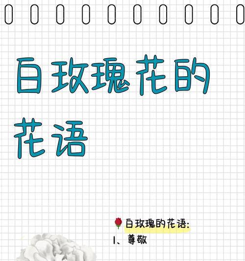 玫瑰花吉祥的寓意是什么？玫瑰花语有哪些吉祥含义？