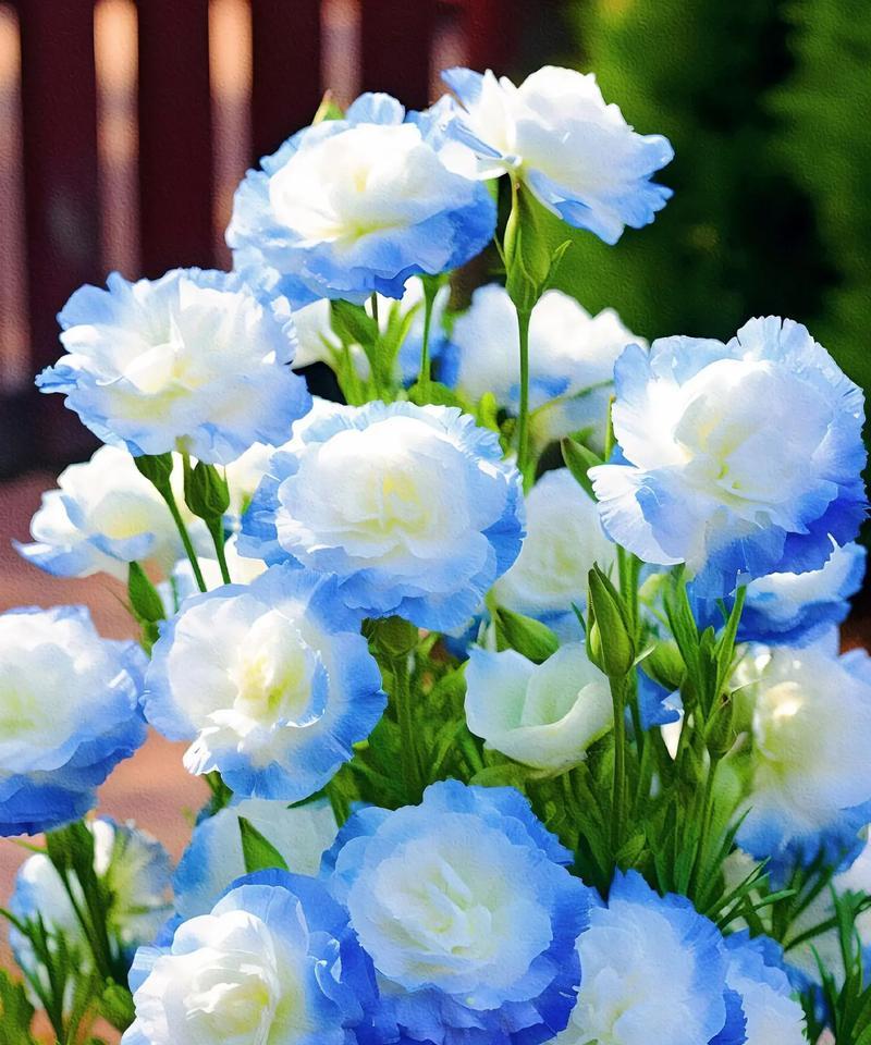 各花的象征与它们代表的季节有何关联？