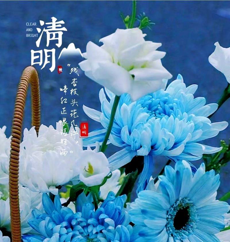清明节象征性的花有哪些？它们代表什么？