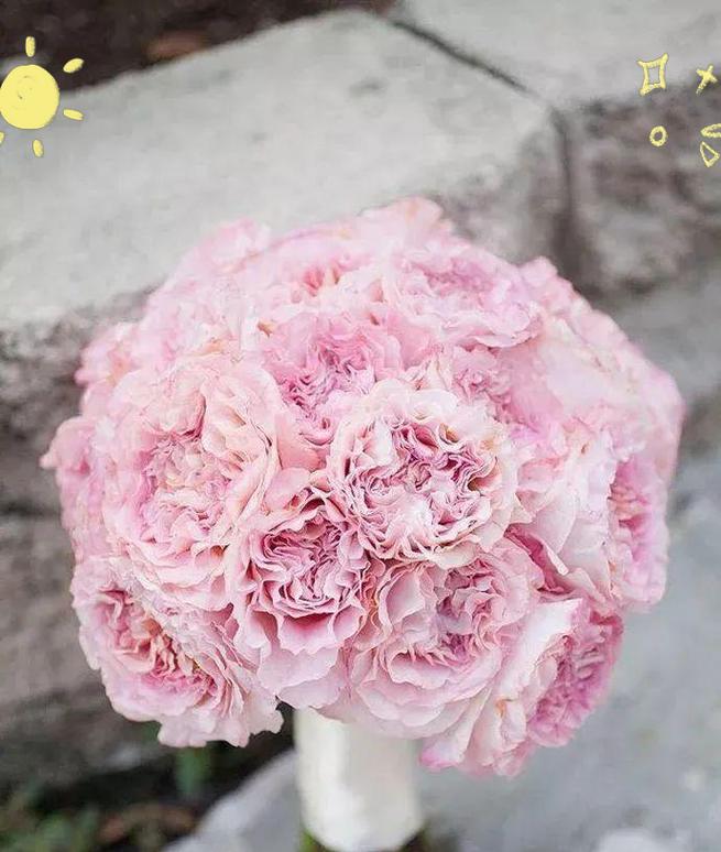 粉色玫瑰手捧花代表什么？手捧花的寓意是什么？