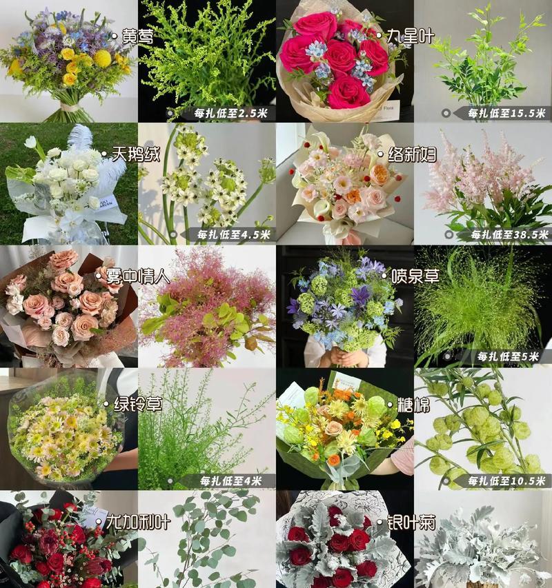 手捧花配草有哪些种类？手捧花配草的寓意是什么？