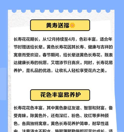 鸡冠长寿花的寓意是什么？它的花语有哪些？