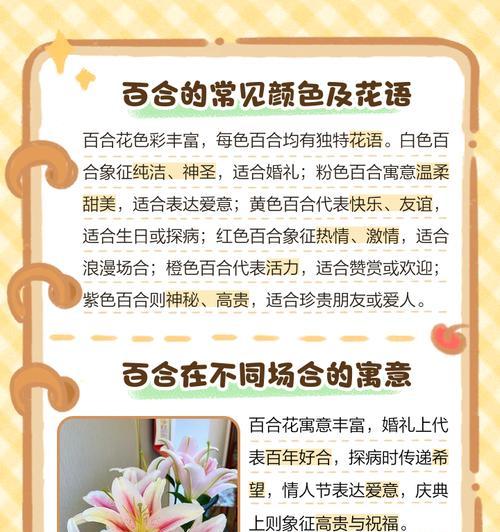米色玫瑰和百合花的花语有何不同？
