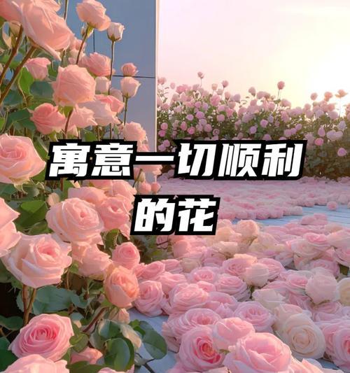 寓意爱人健康的花有哪些？