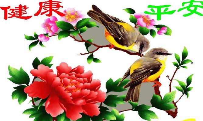 哪些花寓意平安和财运？如何用花来祝福平安和财富？