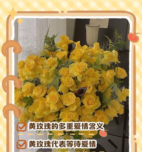 玫瑰花为何象征爱情？玫瑰花象征爱情的说法来源是什么？
