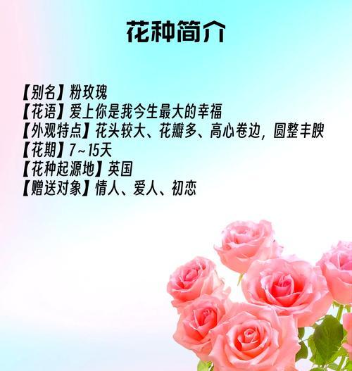 玫瑰花为何象征爱情？玫瑰花象征爱情的说法来源是什么？