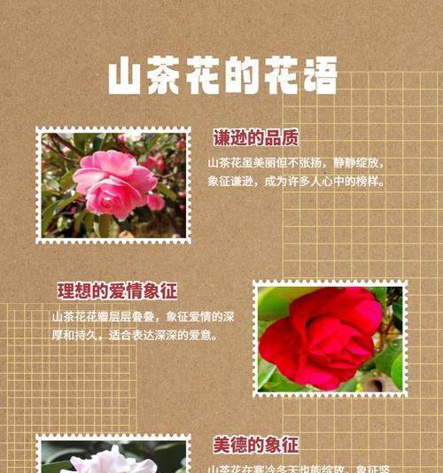 红颜色花的寓意有哪些？
