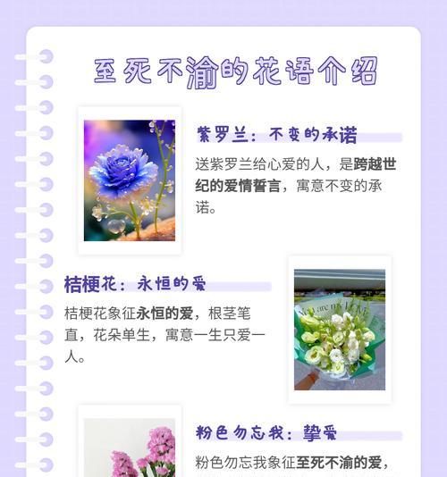 古代哪些花象征着爱情美满？它们在现代是否仍被赋予相同的意义？