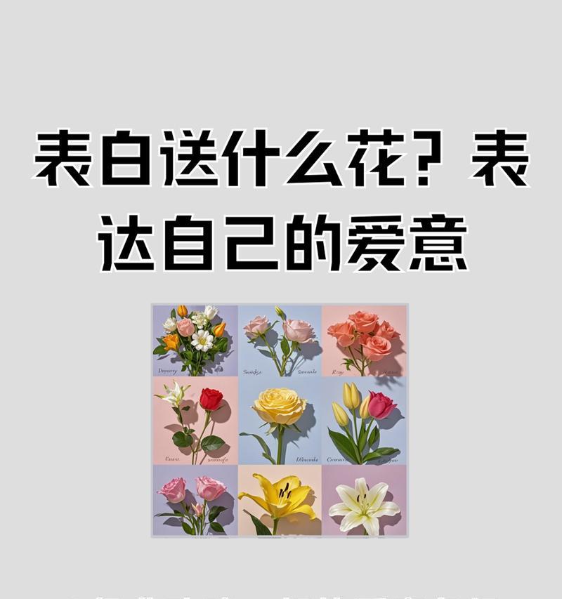 哪种花象征着青春与爱情？如何用花表达浪漫情感？