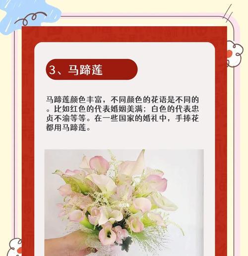 贵州互换手捧花有何寓意？手捧花交换的习俗是什么？