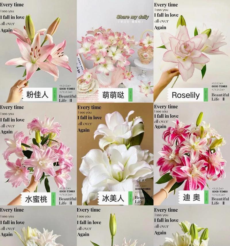 母亲节送百合花的寓意是什么？百合花代表什么意义？